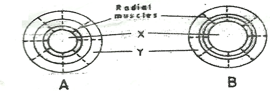 Image From EcoleBooks.com
