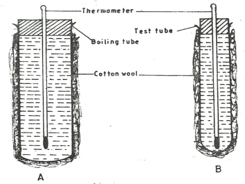 Image From EcoleBooks.com