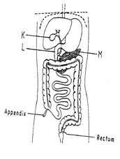 Image From EcoleBooks.com