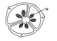 Image From EcoleBooks.com