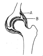 Image From EcoleBooks.com