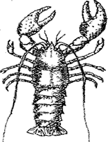 Image From EcoleBooks.com