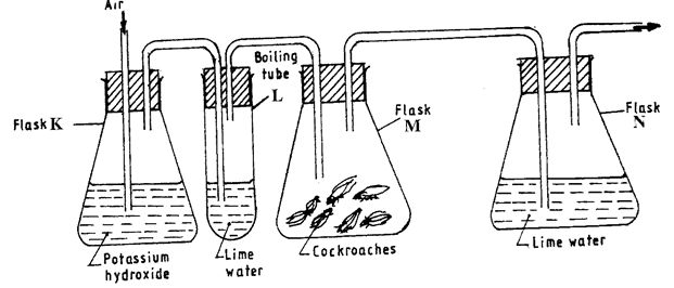 Image From EcoleBooks.com