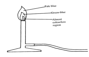 Image From EcoleBooks.com