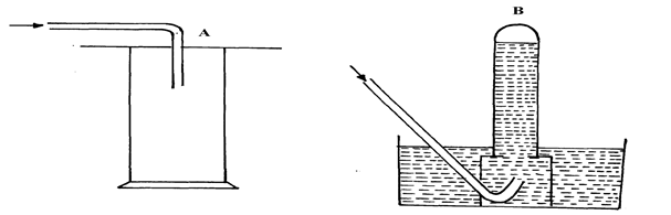 Image From EcoleBooks.com