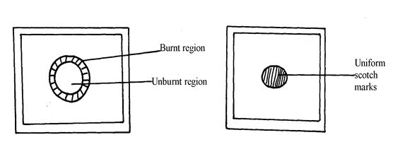 Image From EcoleBooks.com