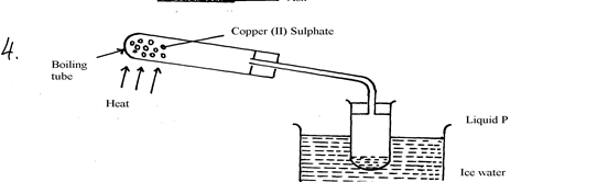 Image From EcoleBooks.com