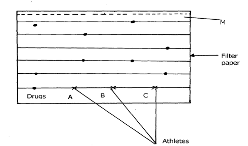 Image From EcoleBooks.com