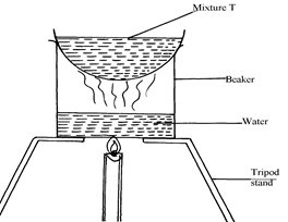 Image From EcoleBooks.com