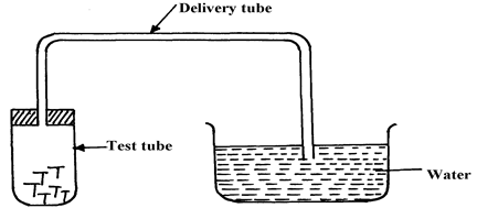 Image From EcoleBooks.com