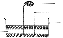 Image From EcoleBooks.com