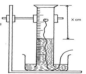 Image From EcoleBooks.com