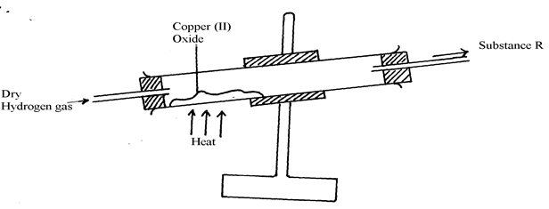 Image From EcoleBooks.com