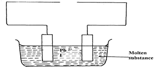 Image From EcoleBooks.com