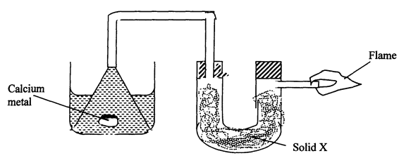 Image From EcoleBooks.com