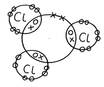 Image From EcoleBooks.com
