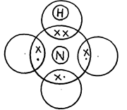 Image From EcoleBooks.com