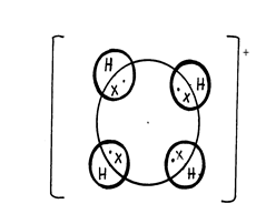 Image From EcoleBooks.com