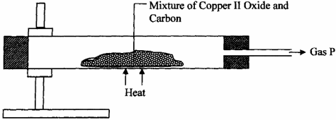 Image From EcoleBooks.com