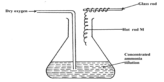 Image From EcoleBooks.com
