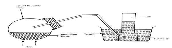 Image From EcoleBooks.com