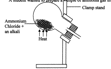 Image From EcoleBooks.com