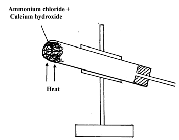 Image From EcoleBooks.com