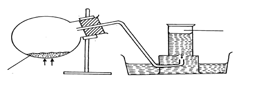 Image From EcoleBooks.com