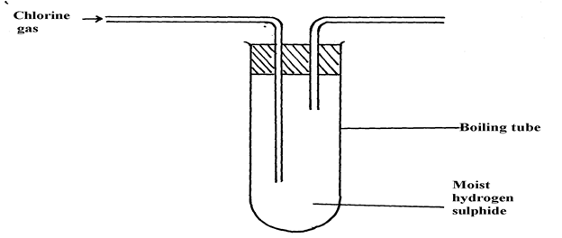 Image From EcoleBooks.com