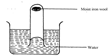 Image From EcoleBooks.com