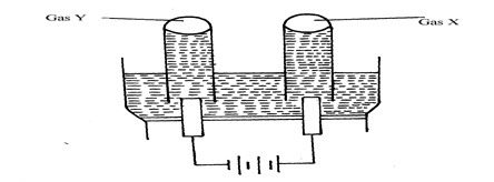 Image From EcoleBooks.com