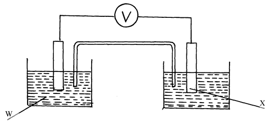 Image From EcoleBooks.com