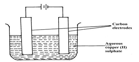 Image From EcoleBooks.com