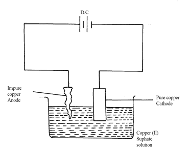 Image From EcoleBooks.com