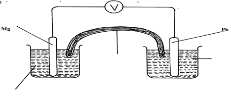 Image From EcoleBooks.com