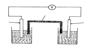 Image From EcoleBooks.com