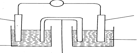Image From EcoleBooks.com