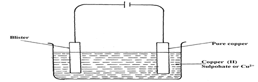 Image From EcoleBooks.com