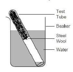 Image From EcoleBooks.com