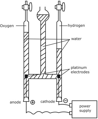 Image From EcoleBooks.com