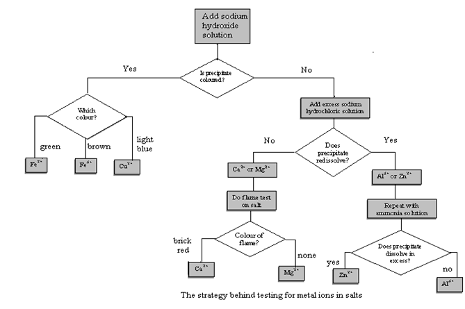 Image From EcoleBooks.com