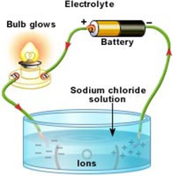 Image From EcoleBooks.com