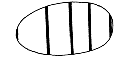 Image From EcoleBooks.com