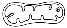 Image From EcoleBooks.com