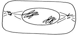Image From EcoleBooks.com
