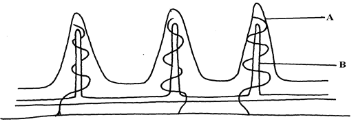 Image From EcoleBooks.com