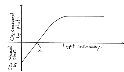 Image From EcoleBooks.com
