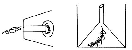 Image From EcoleBooks.com