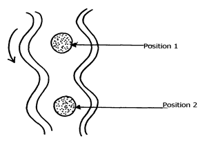 Image From EcoleBooks.com