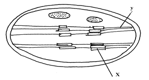Image From EcoleBooks.com